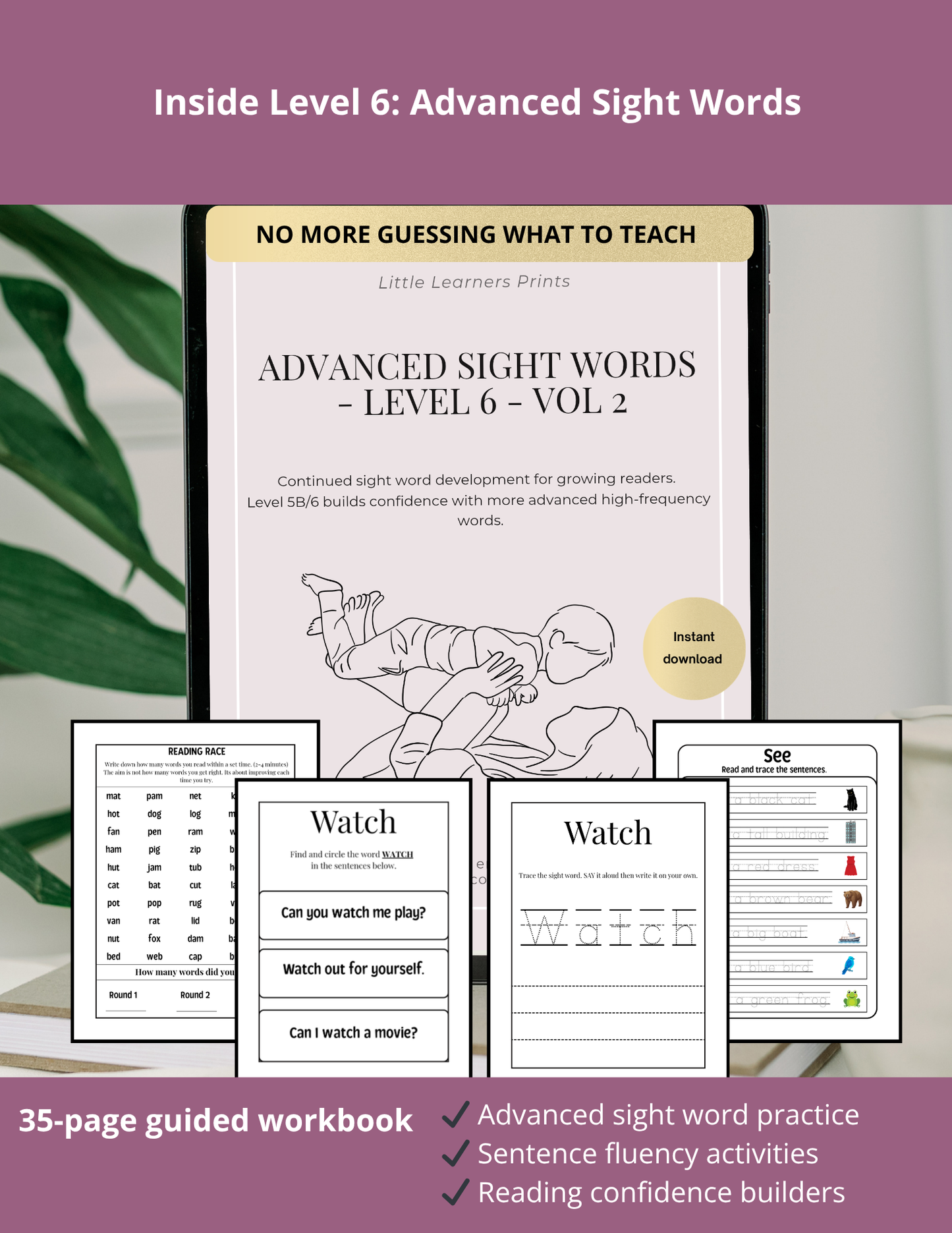 Confident Reader Workbook (Level 6)